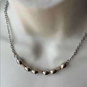 Silver Chain Necklace w/ Gold Accents Between the Silver Oval Beads
